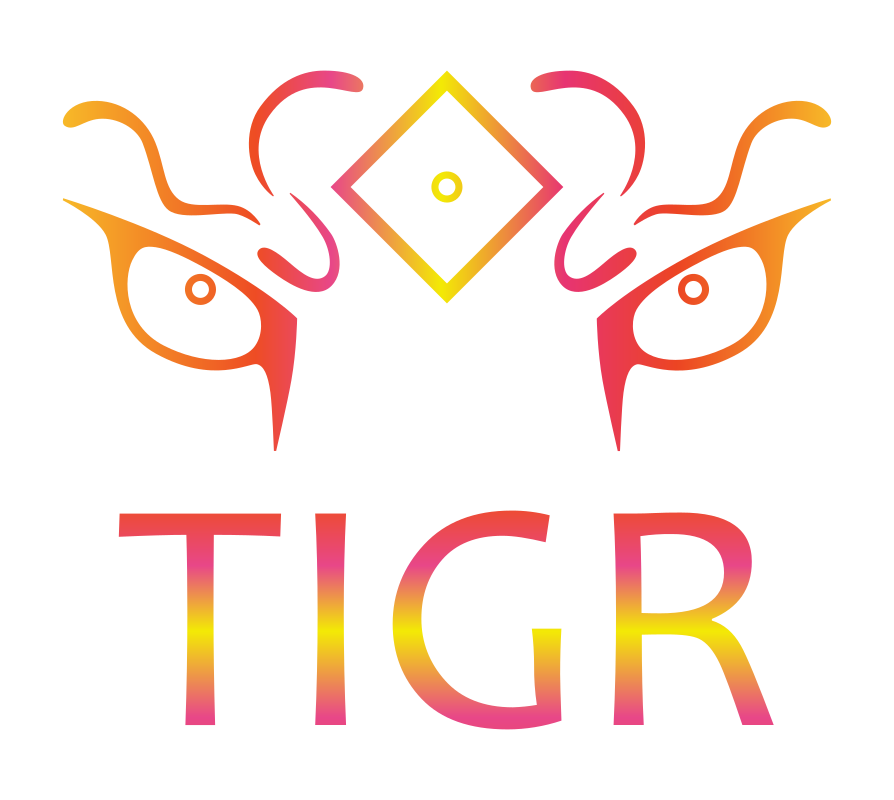 Логотип TIGR - агентство деловых игр для бизнеса